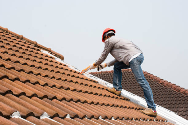 Professional Roofing service in Louisville, NE